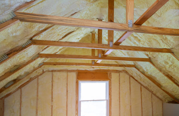 Best Insulation for New Construction  in Cordele, GA
