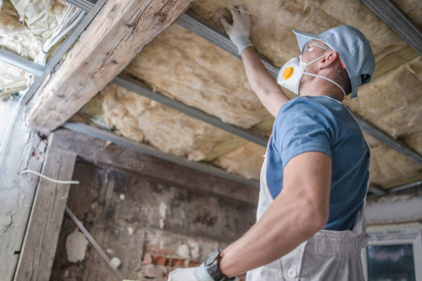 Insulation for New Construction in Cordele, GA